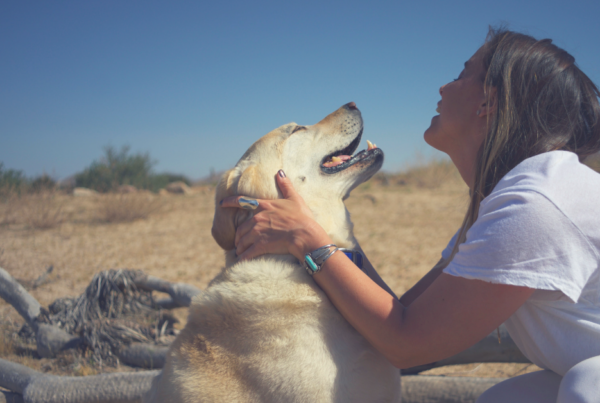 Animal Communication